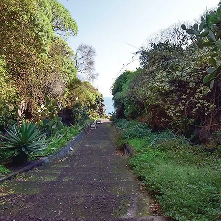 Rama Villa *